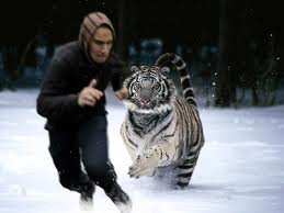 run-from-tiger