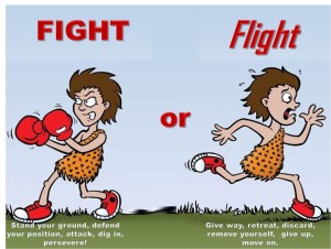 Fight+Or+Flight