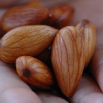 almondscopyrightedimage2