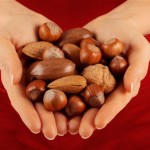 nuts_2740846b